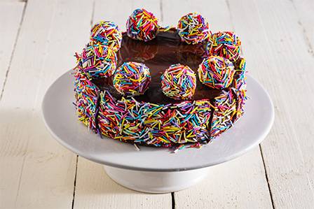 עוגת ילדודס - שכבות עוגת שוקולד ומוס שוקולד בציפוי סוכריות